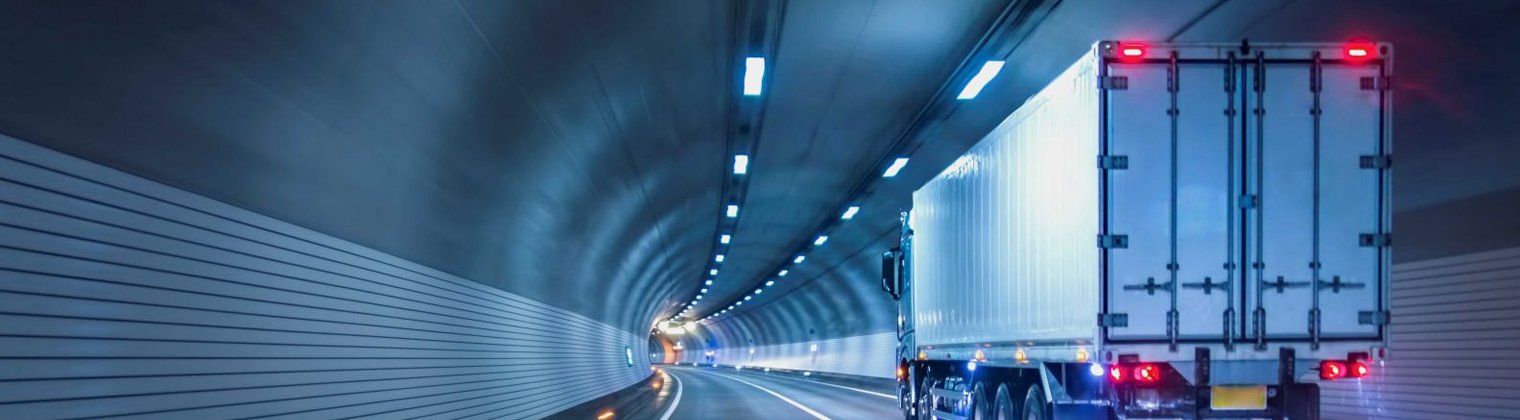 Carbon-Neutral Transportation